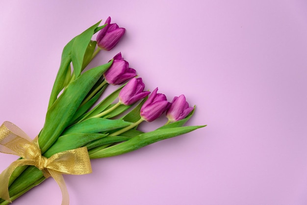 Bouquet of purple tulips with a golden ribbon on a purple background