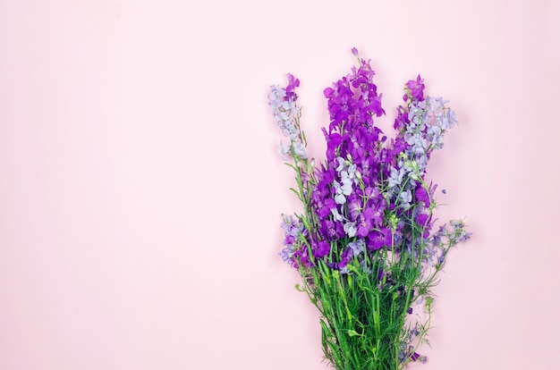 Bouquet of purple wildflowers isolated