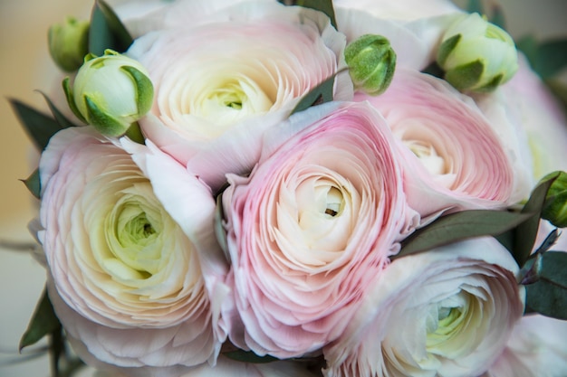 Bouquet of ranunculus pale pink and white