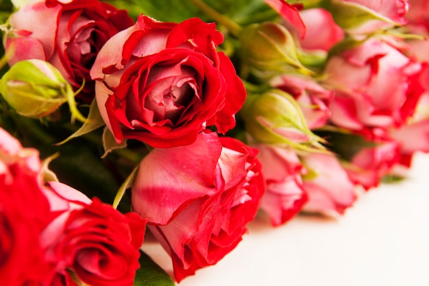 Bouquet of red roses close-up. Postcard, background