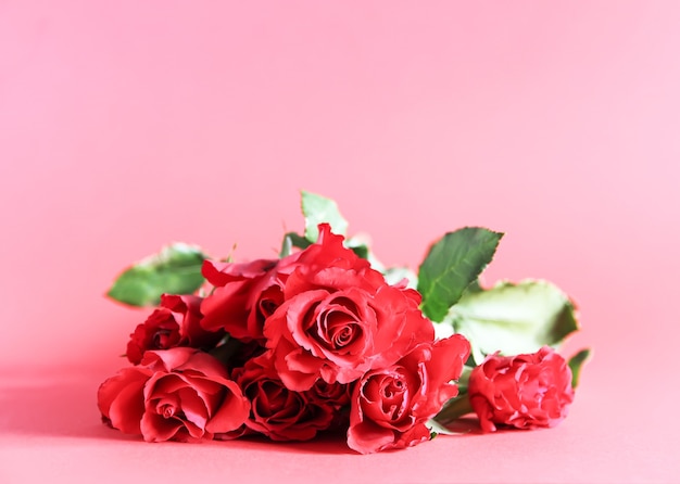 Bouquet of red roses on pink background.