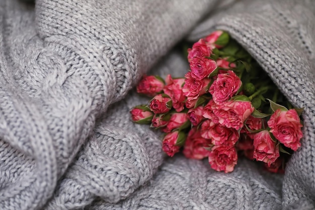 Bouquet of red roses on a textile sweater