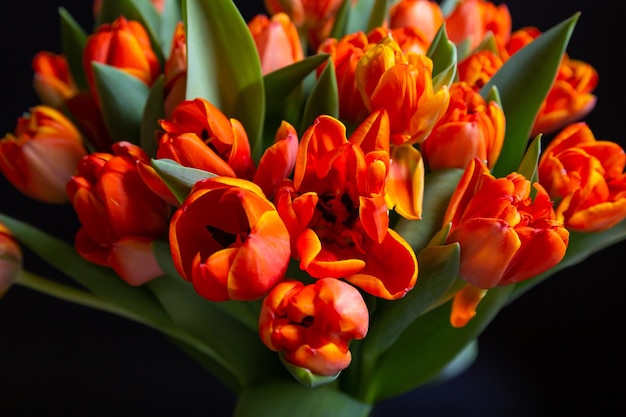 Bouquet of redyellow tulips on a black background Selective focus closeup