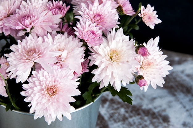 Bouquet of rose chrysanthemums 