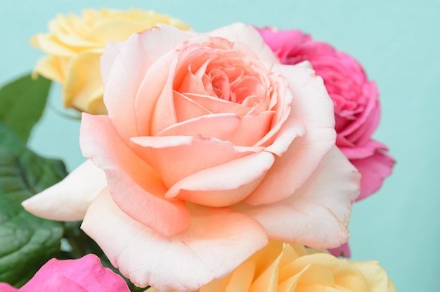 bouquet of roses cream and pink color closeup