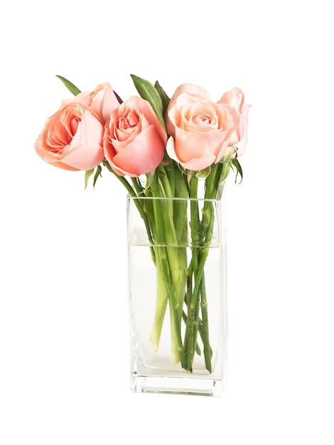 Bouquet of roses in a crystal flower vase on a white background