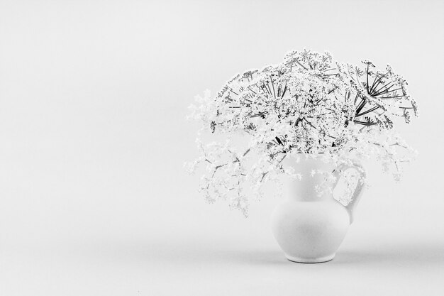 Photo a bouquet of small delicate white flowers of elderberry in a white jug