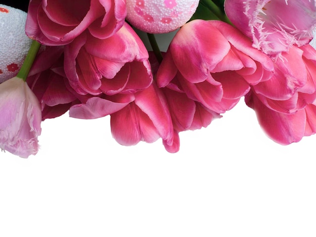 Bouquet of spring flowers fresh pink tulips on white background