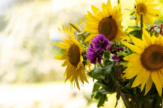 Bouquet of sunflowers petunias carnations and other wildflowers and flower beds