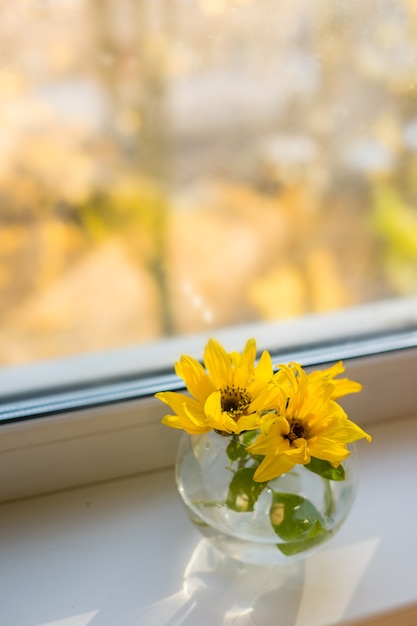 Bouquet of sunflowers on the window at home. concept of natural and decoration. High quality photo