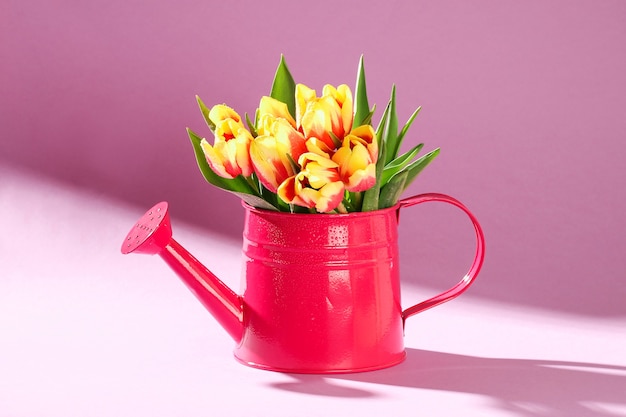 A bouquet of tulips as a gift for march  mothers day valentines day easter decor