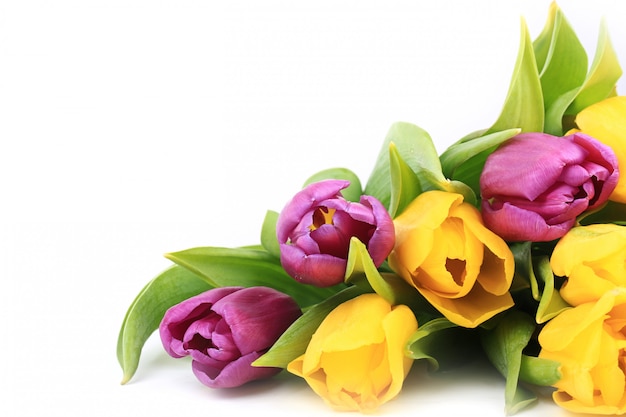 Bouquet of tulips isolated on white background