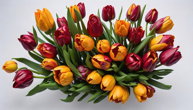 A bouquet of tulips with the word tulips on the bottom.