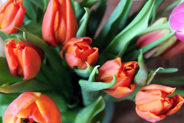 Bouquet of tulips