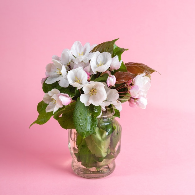 Bouquet of wet blooming pink apple tree twigs in glass can on pink background. Mother's day, Valentine's Day, Birthday congratulations concept. Greeting card.