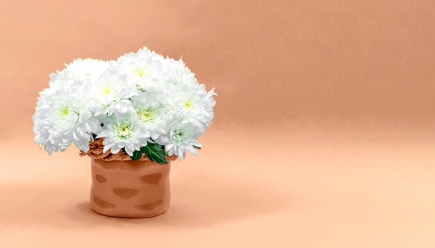 Bouquet of white chrysanthemums in a ceramic vase on a peach background