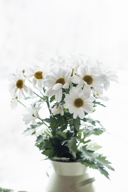 A bouquet of white daisies closeup by the window against the backdrop of snow