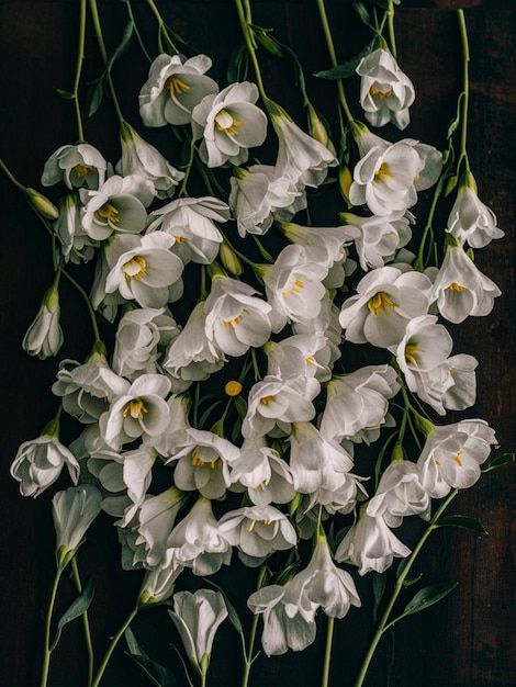 a bouquet of white flowers with yellow centers