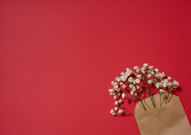 Bouquet of white gypsophila in a brown kraft paper bag on a red background top view