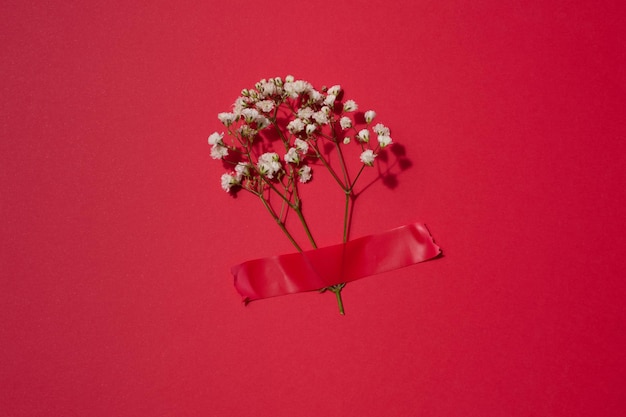 A bouquet of white gypsophila is glued with red electrical tape on a red background