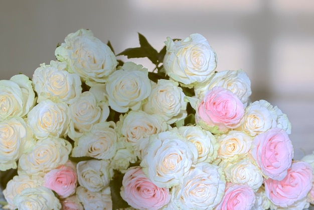 Bouquet of white roses closeup