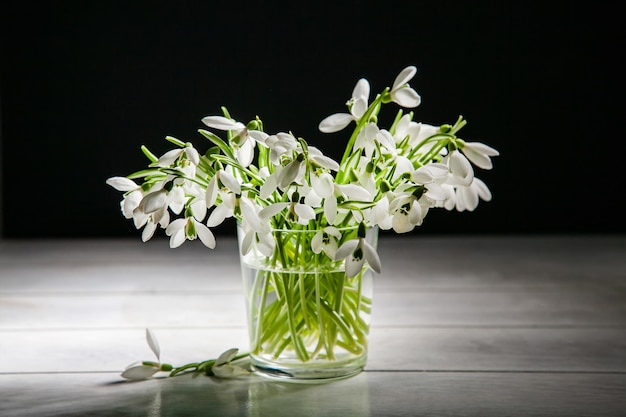 Bouquet of white snowdrops Galanthus nivalis in glass jar on dark tones on wooden surface.