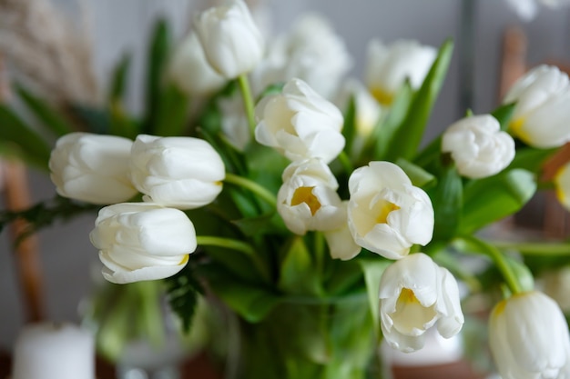 Bouquet of white tulip flowers close up