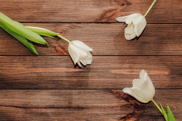 Bouquet of white tulips on a wooden background space for text