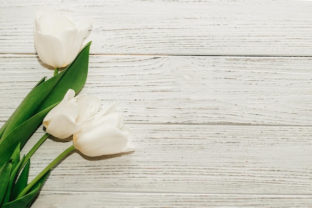 Bouquet of white tulips on a wooden white background space for text