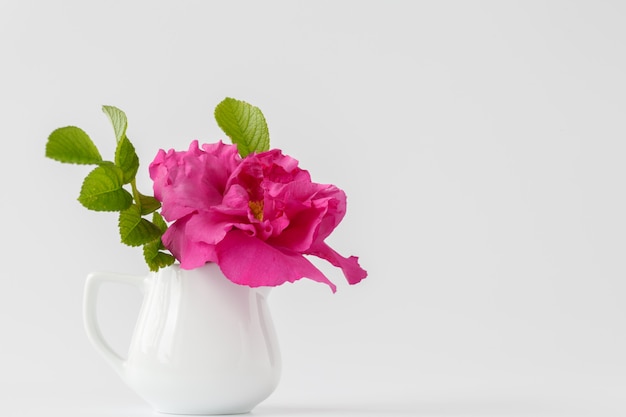 Bouquet of white wild roses in a vase.