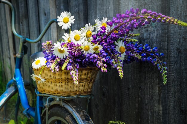 Bouquet of wild flowers in a basket and on a bicycle, summer, nature