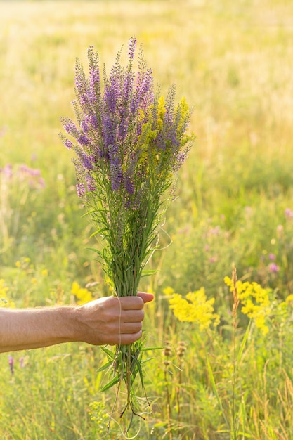 Bouquet of wild flowers in hand of man on blur background of blooming meadow