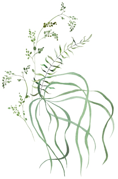 Bouquet with Watercolor fern twigs with green leaves isolated illustration botanical wedding