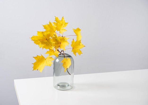 Bouquet of yellow autumn leaves in a glass vase on a white table Front view and copy space