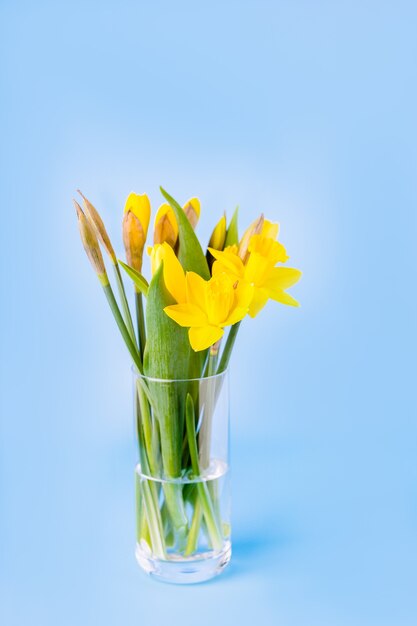 Bouquet of yellow daffodils