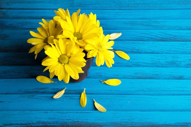 Bouquet of yellow daisies