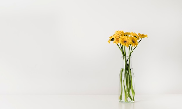 Bouquet of yellow gerbera flowers in a vase on table against the background of a white wall