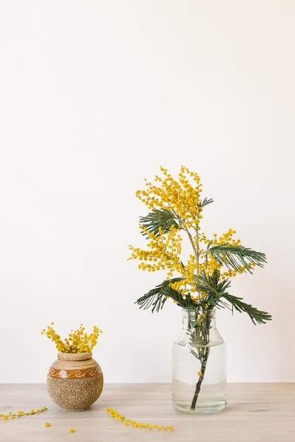 Bouquet of yellow mimosa flowers in a vase Concept of women's or mother's day