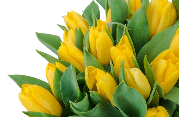 Bouquet of yellow tulips, copy space. 