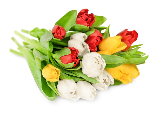 Bouquet of yellow white and red tulips lying on a white isolated background