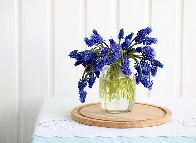 Bouquets of blue mouse hyacinths muscari at home on the table