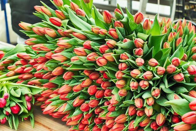 Bouquets of freshly cut tulips for sale are on the counter of the flower farm before