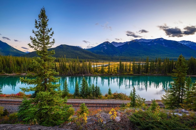 Bow river and rocky mountains from backswamp viewpoint in banff national park