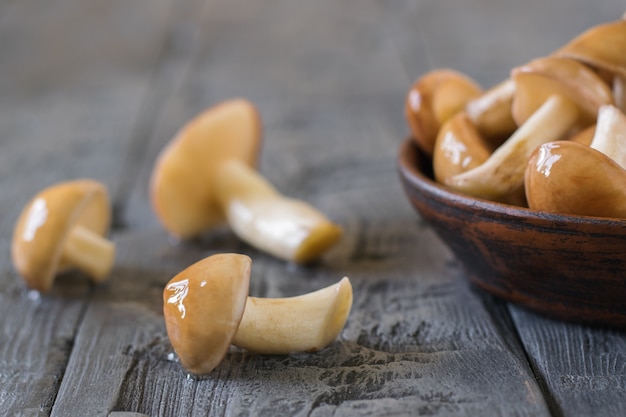 A bowl of fresh Butters and three separate mushrooms on a wooden table