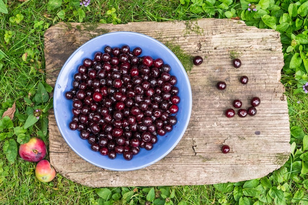 Bowl of fresh garden cherries