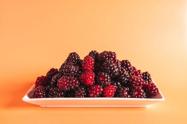 Bowl full of black raspberries isolated on a coral color background Copy space Horizontal