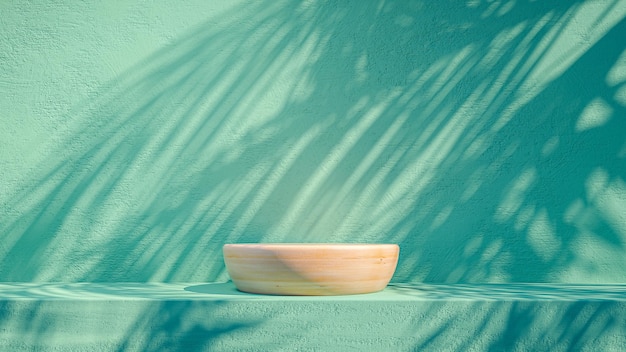 A bowl on a green wall with a shadow of palm leaves on it