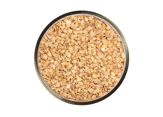 Bowl of oats porridge isolated on a white background. Healthy breakfast