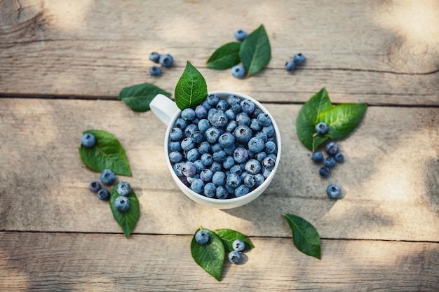 A bowl with fresh bilberry Vaccinium myrtillus on an old wooden bench Fresh wild bilberries