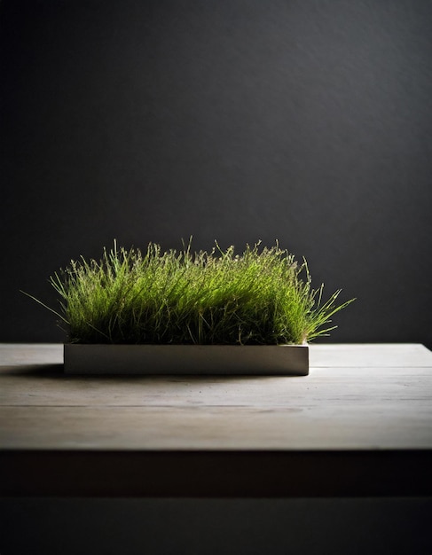 A box of wheatgrass tablets sits on a light wooden table